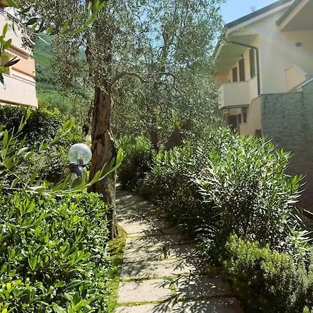 Апартаменты Ulivi Beth's House *